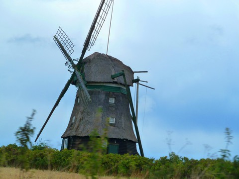 Galerie-Bild von Elvira u. Lothar Rißmann