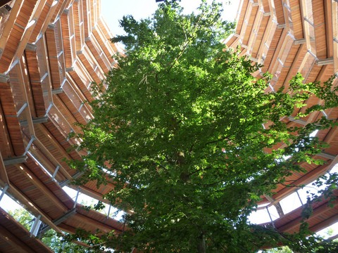 Galerie-Bild von Fabian Floto