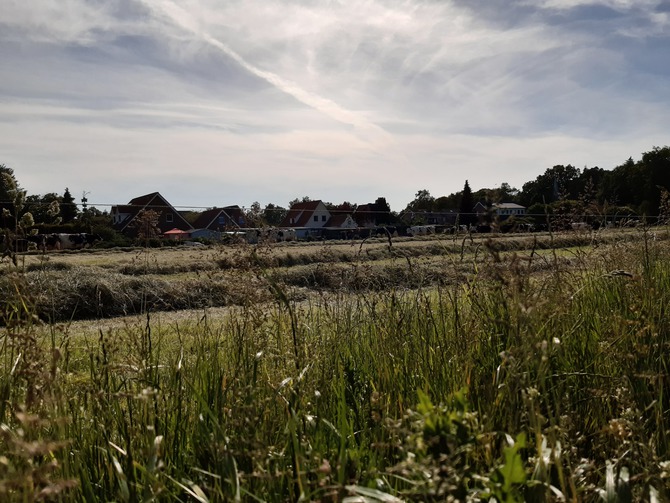 Ferienwohnung in Kellenhusen - Haus Schwoon - Waldblick