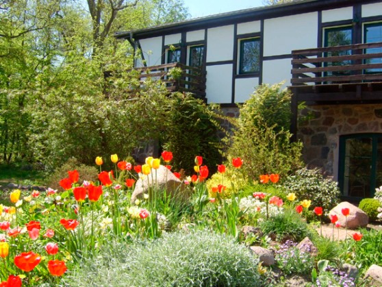 Ferienwohnung in Kägsdorf - Gutspark Seeblick - Bild 4