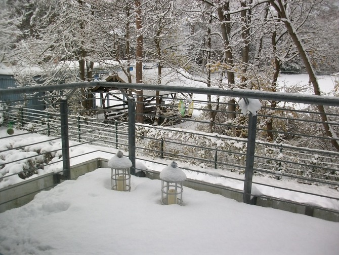 Ferienwohnung in Kühlungsborn - Strandstrasse-OstSeestern - Balkon im Winter-Blick auf Stadtwald
