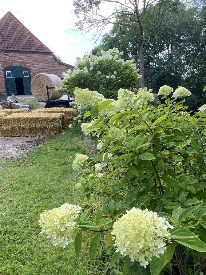 Ferienwohnung in Rettin - Bauernferienhof Kluvetasch Ostseekrabbe - Bild 17