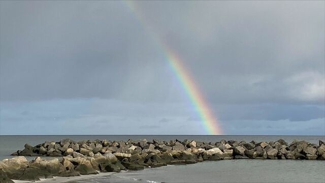 Ferienwohnung in Schönberg - Ferienwohnung Gelb - Bild 15 Ferienwohnung in Schönberg - Ferienwohnung Gelb - Bild 15