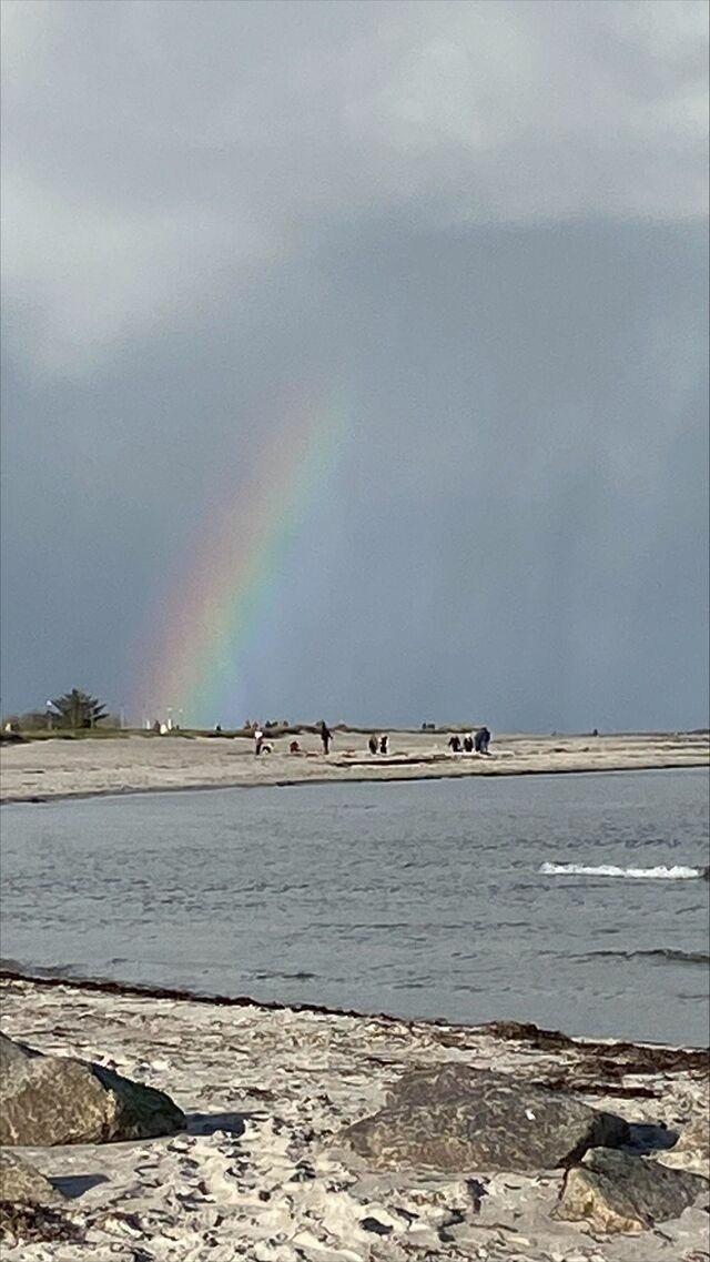 Ferienwohnung in Schönberg - Ferienwohnung Gelb - Bild 17 Ferienwohnung in Schönberg - Ferienwohnung Gelb - Bild 17