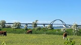 Ferienwohnung in Großenbrode - Ferienwohnung Meeresblick - Bild 20