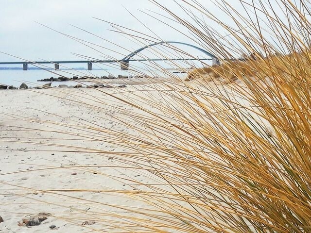 Ferienwohnung in Fehmarn OT Wulfen - Ferienwohnung Franzmann - Bild 20