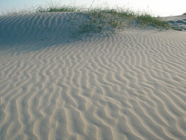 Ferienwohnung in Haffkrug - Lachm&ouml;we - Bild 7