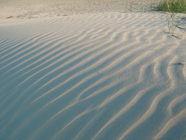 Ferienwohnung in Haffkrug - Lachm&ouml;we - Bild 8
