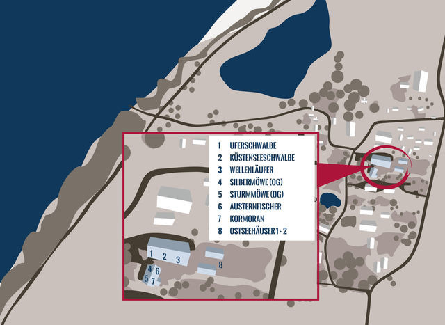 Ferienwohnung in Fehmarn OT Westermarkelsdorf - Wellenläufer - Bild 22