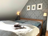Ferienhaus in Prerow - Kormoran Muschelsucher - Bild 21