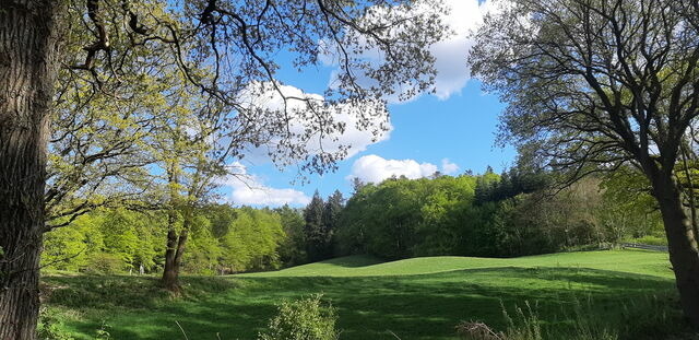 Ferienhaus in Brekendorf - Ferienhaus Diedrichsen - Bild 7