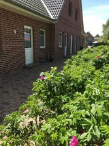 Ferienhaus in Fehmarn OT Sulsdorf - Bauernhof Kleingarn-Landhus Reihenhaus Nr. 22 - Bild 4