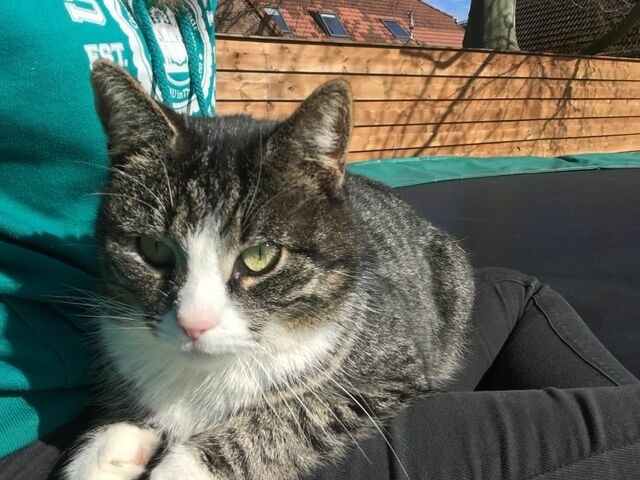 Ferienhaus in Fehmarn OT Sulsdorf - Bauernhof Kleingarn-Landhus Reihenhaus Nr. 22 - Bild 20 Ferienhaus in Fehmarn OT Sulsdorf - Bauernhof Kleingarn-Landhus Reihenhaus Nr. 22 - Bild 20