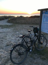 Ferienhaus in Fehmarn OT Sulsdorf - Bauernhof Kleingarn-Landhus Reihenhaus Nr. 22 - Bild 22 Ferienhaus in Fehmarn OT Sulsdorf - Bauernhof Kleingarn-Landhus Reihenhaus Nr. 22 - Bild 22