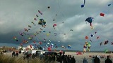 Ferienwohnung in Fehmarn OT Todendorf - FW Einfeldt - Bild 12