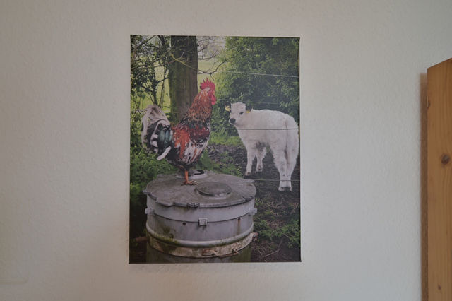 Ferienwohnung in Fehmarn OT Katharinenhof - Ferienhof Augustenhöhe - Haus am Feld Nr.5 - Bild 15 Ferienwohnung in Fehmarn OT Katharinenhof - Ferienhof Augustenhöhe - Haus am Feld Nr.5 - Bild 15