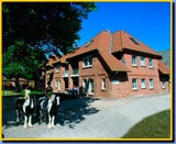Ferienwohnung in Fehmarn OT Presen - "Ferienhof Rie&szlig;en" Utspan Nr. 65 - Bild 1