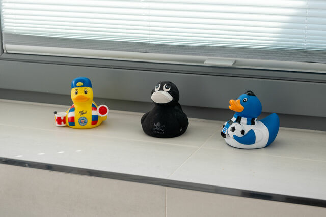 Ferienhaus in Heiligenhafen - Ostsee - Reetdachhaus Nr. 7 "Haddock" im Strand Resort - Bild 16 Ferienhaus in Heiligenhafen - Ostsee - Reetdachhaus Nr. 7 "Haddock" im Strand Resort - Bild 16