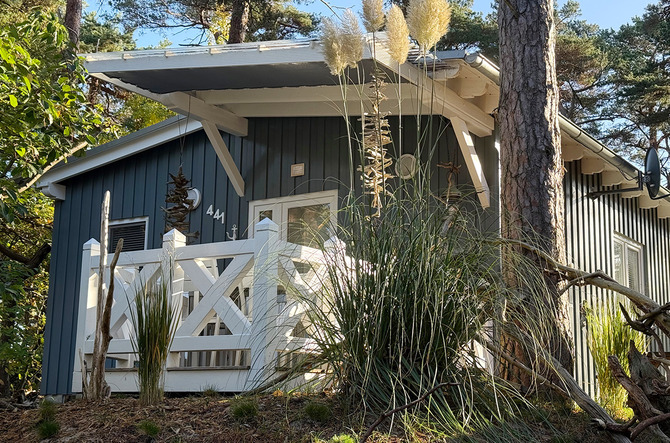 Bungalow in G&ouml;hren - Strandkiste G&ouml;hren - Aussenansicht, Terrasse
