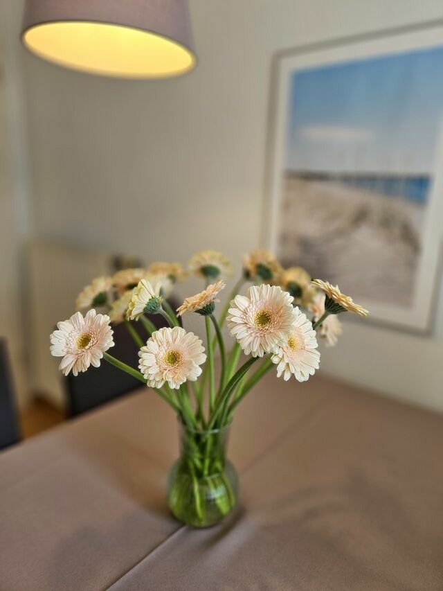 Ferienwohnung in Gr&ouml;mitz - "Pappelhof - Whg. 4" - Bild 5