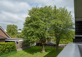 Ferienwohnung in Fehmarn OT Burg - FeWo93817 - Bild 23