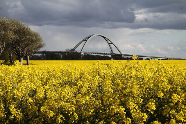 Ferienwohnung in Fehmarn OT Vitzdorf - Ferienwohnung wei&szlig;es Haus - Bild 11