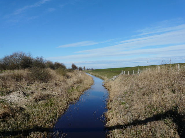 Ferienwohnung in Fehmarn OT Todendorf - Haus am Teich - Teichblick - Bild 25 Ferienwohnung in Fehmarn OT Todendorf - Haus am Teich - Teichblick - Bild 25