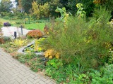 Ferienhaus in Behrenwalde - Ferienhaus "Am Wald" - Bild 21