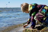 Ferienwohnung in Fehmarn - Knusthof Lafrenz - Küstenblick - Bild 10