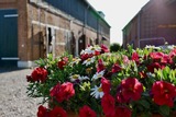 Ferienwohnung in Fehmarn - Knusthof Lafrenz - Küstenblick - Bild 11