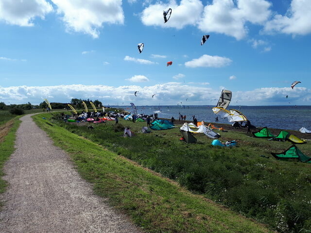 Ferienwohnung in Fehmarn - Knusthof Lafrenz - Apfelhofblick - Bild 11
