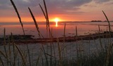 Ferienwohnung in Fehmarn - Südwind - Bild 19