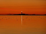 Ferienwohnung in Fehmarn - Südwind - Bild 20