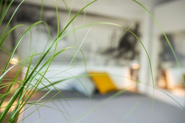 Ferienwohnung in Dahme - Home - Bild 5