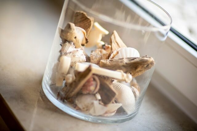 Ferienwohnung in Fehmarn OT Neue Tiefe - NTBM36001- Binnenseeblick - Bild 12