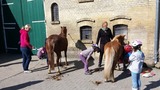 Ferienwohnung in Fehmarn OT Staberdorf - Bauernhaus 3, inkl. 1 Parkplatz - Bild 14