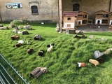 Ferienwohnung in Fehmarn OT Staberdorf - Bauernhaus 3, inkl. 1 Parkplatz - Bild 22