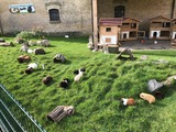 Ferienwohnung in Fehmarn OT Staberdorf - Landhaus 6 - Bild 19