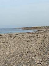 Ferienwohnung in Fehmarn - Ferienwohnung Nord - Bild 14