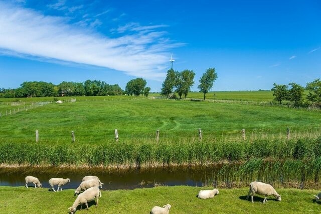 Ferienwohnung in Fehmarn OT Petersdorf - Ferienwohnung Achtern Diek - Bild 12