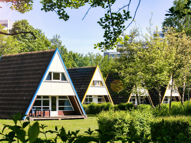 Ferienhaus in Damp - Nurdachhaus im Dampland an der Ostsee - Bild 1