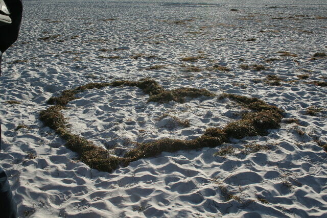 Ferienwohnung in Prerow - FeWo "Prerow" - Bild 13