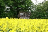 Ferienwohnung in Carinerland - Bauwagen - Bild 1