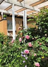 Bungalow in Lensterstrand - Strandläufer - Bild 21