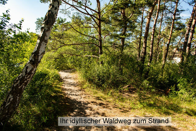 Ferienwohnung in Dierhagen - Meereslust EG 2L - Bild 17