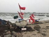 Ferienwohnung in Kellenhusen - Haus Strandläufer Wohnung 3 - Bild 4