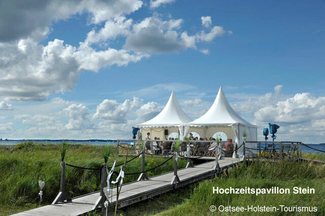 Ferienwohnung in Stein - Whg. Strandläufer- Haus Nordlichter - Bild 21