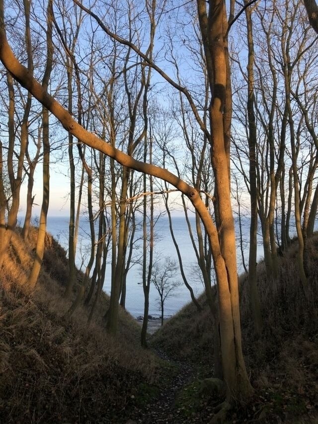 Ferienhaus in Steinbeck - MP 9 Villa - Bild 13