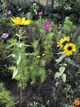 Ferienhaus in Steinbeck - MP 9 Villa - Bild 19