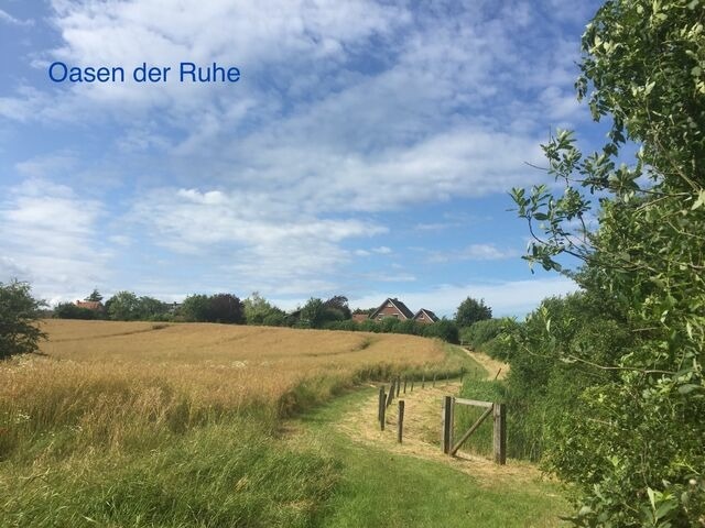 Ferienhaus in Wendtorf - DHH Frische Brise - Haus Nordlichter - Bild 24